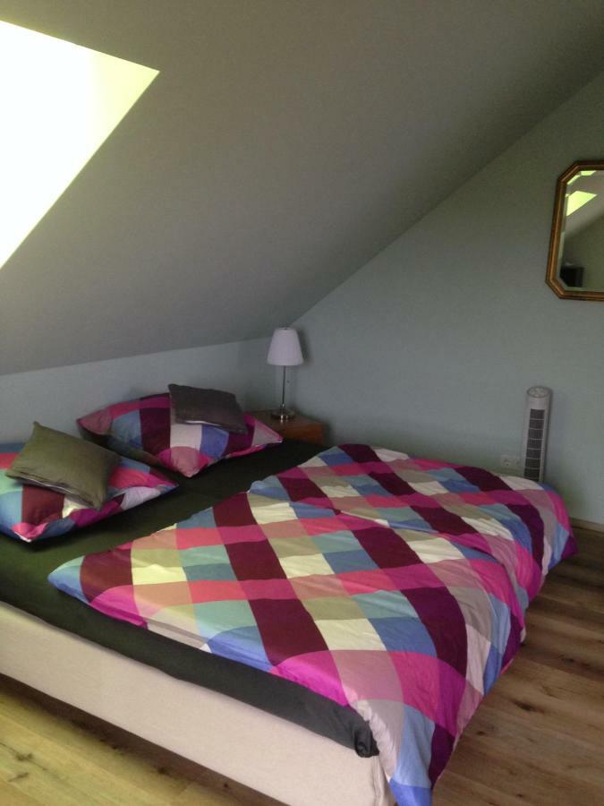 Loreley Bed And Breakfast Bornich Luaran gambar